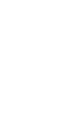 簡易整文